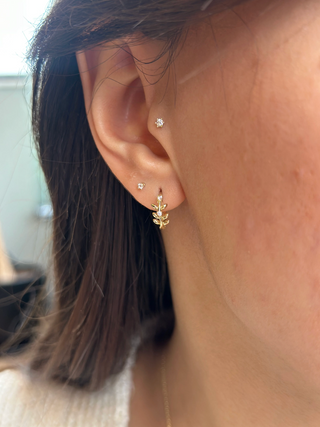 Eden Vine Hoops